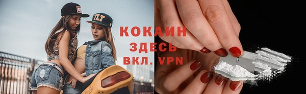 PSILOCYBIN Богородицк