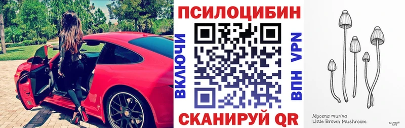 Псилоцибиновые грибы мицелий  Изобильный 